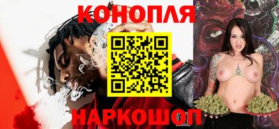 спиды Новозыбков
