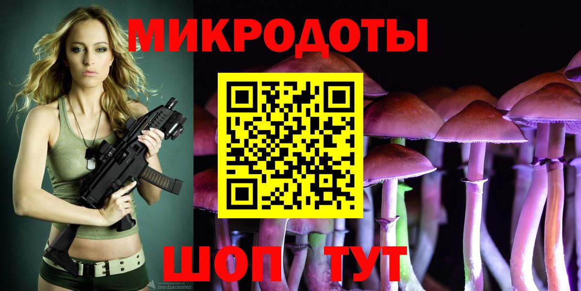 Псилоцибиновые грибы мицелий Сокол
