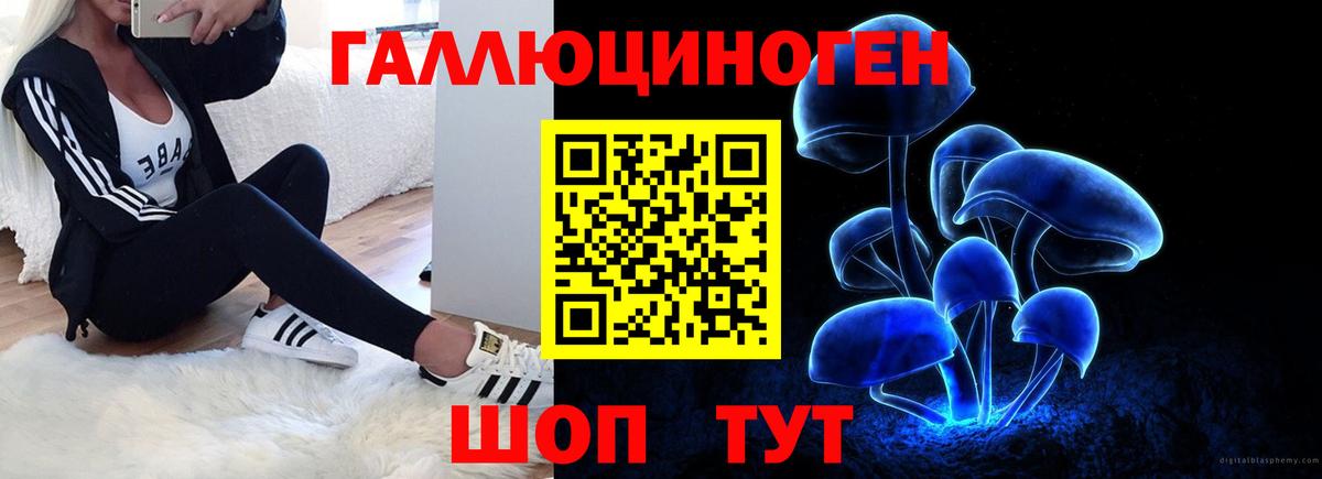 Галлюциногенные грибы GOLDEN TEACHER  Галлюциногенные грибы прущие грибы  Вход с VPN  Сокол 