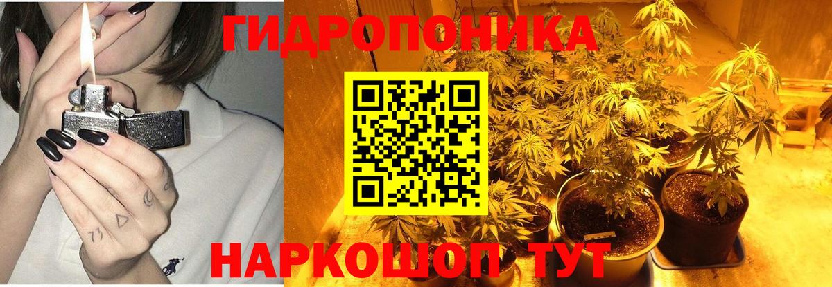 Марихуана Amnesia  Вход с VPN  Бошки Шишки THC 21%  Сокол  МАРИХУАНА THC 21% 